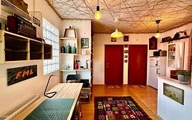 Casa Cu Smochin | House With The Fig